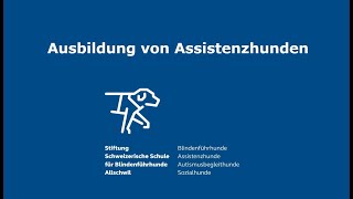 Ausbildung von Assistenzhunden – Einräumen der Waschmaschine [upl. by Stewart]