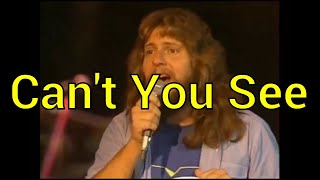 The Marshall Tucker Band  Cant You See  Lyrics [upl. by Aiyt]