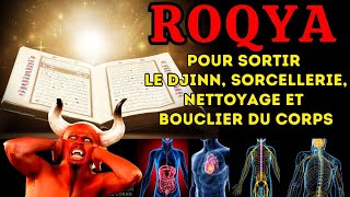 ROQYA BRULURE DJINN AMOUREUX  TRÈS FORTE QUI VA CHASSER LE DJINN DU CORPS  Coran Pour Dormir [upl. by Han]