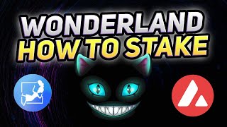 Wonderland Money Avalanche DeFi How to Stake TIME Tutorial [upl. by Fancie]