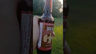 Sarsaparilla Root Beer siouxcity Sarsapairlla rootbeer sunset tastetest falloutnewvegasmemes [upl. by Notwal]