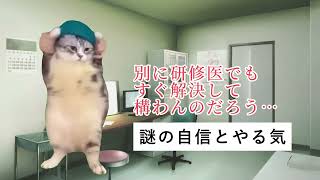 初期研修医あるある 内科外来編 猫ミーム 猫マニ 研修医 医者あるある [upl. by Jarus]