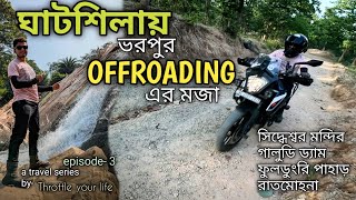 Pulsar n250 নিয়ে ঘুরলাম Ghatshila 🤩 Kolkata to Ghatshila on Bike 🏍️ Throttle Your Life [upl. by Lledyl]