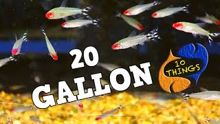 Top 10 fish 20 Gallon Aquariums [upl. by Nena435]