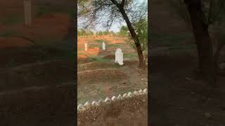 planting trees machine haria village video qabarsatnan talab wala beautifullvillage farming [upl. by Keener176]