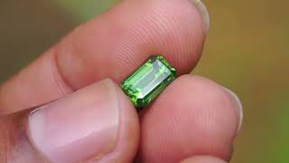 6 Natural Ceylon Green Zircon  Daylight Video [upl. by Ianthe257]