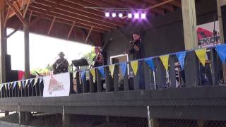 Bills Polka Canadas National Ukrainian Festival 2014 [upl. by Pavior786]