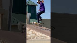 Finger Flips Twirly Bird Front Foot Impossible skateboarding [upl. by Gibb]