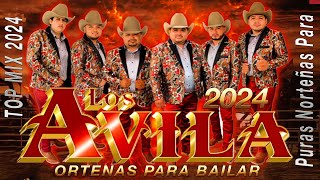 Los Avila 2024 🌟 LAS MEJORES COLECCIONES PURAS DE LOS ÁVILA 2024 🎶 NORTENAS PARA BAILAR [upl. by Dinny]