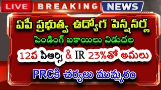 ఏపీ ప్రభుత్వ ఉద్యోగ amp పెన్షనర్లకు 12వ పిఆర్సి IR 23తో అమలు PRCకి చర్యలు ముమ్మరం [upl. by Aznofla]