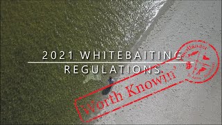 2021 Whitebaiting Regulations  Worth Knowin [upl. by Grenville764]