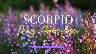 ♏ Scorpio monthly horoscope 🌼 May 2024 [upl. by Eimme27]