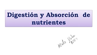 Absorción  Fisiología Gastrointestinal [upl. by Aicenod]