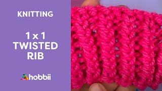 How to Knit 1 x 1 Twisted Rib  Single Twisted Rib Explained with Audio [upl. by Llewop758]