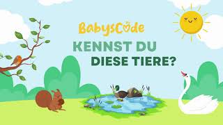 Kennst du diese Tiere  Tiere kennenlernen und benennen  Erklärvideo für Kleinkinder  Deutsch [upl. by Sajovich]