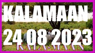 KALAMAAN 24 AUGUST 2023 [upl. by Anib]