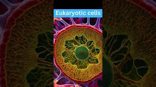 The hidden secrets of the eukaryotic cell  Revealing the mysteries of eukaryotic cells [upl. by Sonafets538]