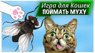 Жужжащая Муха Игра для КОШЕК  ЛексиКошка [upl. by Lilian]