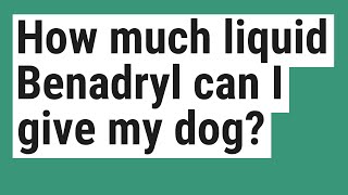 How much liquid Benadryl can I give my dog [upl. by Ultima185]