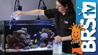 How To Dosing 2 Part in Your Reef Tank [upl. by Wichman]