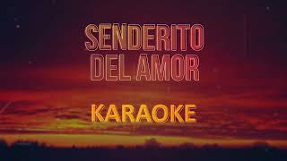 Lisandro Meza Senderito del amor  Karaoke Pista Musical [upl. by Eberly218]