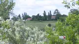 Cleaning up a former landfill in Markham [upl. by Nailil]