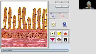 Bioscan Demo [upl. by Relyuc327]