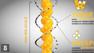 18 Things You Should Know About Genetics [upl. by Jovitah920]