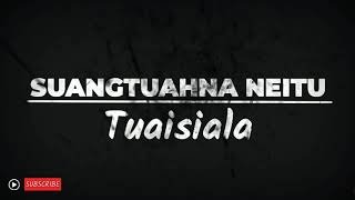 SUANGTUAHNA NEITU  Tuaisiala lyrics video [upl. by Ortensia]