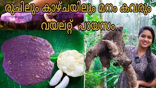 കാണുമ്പോഴും കഴിക്കുമ്പോഴും മനം കവരും വയലറ്റ് പായസംSaranyas beauty vlogsAttappadi [upl. by Intyrb]