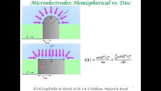 Microelectrodes [upl. by Ares]