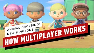 How Multiplayer Works in Animal Crossing New Horizons [upl. by Saire498]