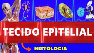 TECIDO EPITELIAL  HISTOLOGIA ENSINO SUPERIOR  TECIDO EPITELIAL DE REVESTIMENTO [upl. by Rise697]