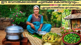 ഈ വേനൽക്കാലത്ത് ചുണ്ടക്ക കൊണ്ടാട്ടവും ഏറുമാടത്തിലെ ഉറക്കവും😌😌 [upl. by Neirod]