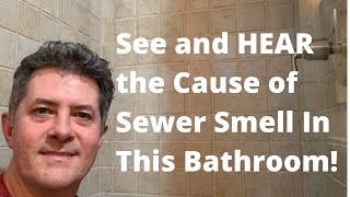 How to Get Rid of Sewer Smell [upl. by Sudnac573]