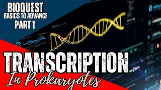 Transcription in Prokaryotes  Part 1  Transcription  CSIR NET December 2024  Basics to Advance [upl. by Jordison647]