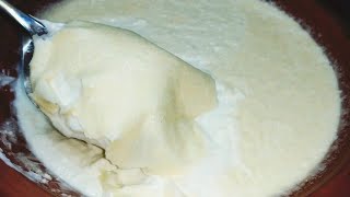 Dahi Jamane ka Sahi tareeka Halwai jaisa  Thick or itni moti malai wali dahi ab jamae ghar par Curd [upl. by Marieann]