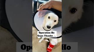 Operation Ho Gaya 🥹  minivlog [upl. by Ilah]