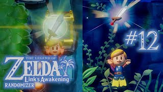 SWARDS  The Legend of Zelda Links Awakening Randomized [upl. by Navada]