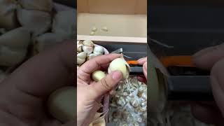 Quickly peel garlic satisfying [upl. by Hirschfeld]