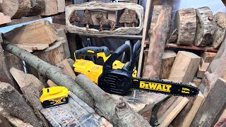 Is the Dewalt 12quot XR Chainsaw Worth It [upl. by Cyndi]