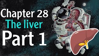 Physiology chapter 28 The Liver part 1  فسلجة وزاري [upl. by Nhguavoj127]