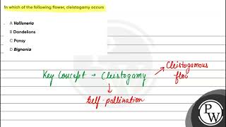 In which of the following flower cleistogamy occurs [upl. by Lynda617]