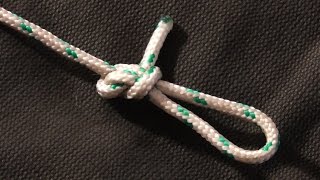 Learn How To Tie The Perfection Loop Fishing Knot [upl. by Ylagam]