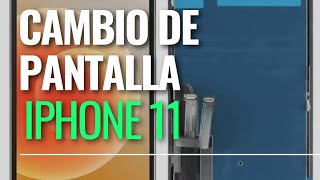 Cambio de pantalla Iphone 11 [upl. by Attwood284]