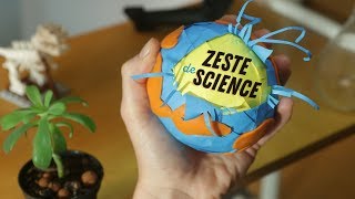 Zeste de Science c’est quoi [upl. by Fasano]