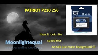 PATRIOT P210 256 GB SSD  unboxing quick speed test [upl. by Aicekan934]