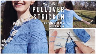 Einfachen Pullover von oben stricken  Muster amp Arme [upl. by Joyce]