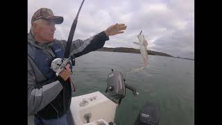 Fishing in Pembrokeshire off the boat [upl. by Seward]