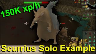 OSRS Scurrius Solo Kill Example with Scythe of Virtur [upl. by Dag413]